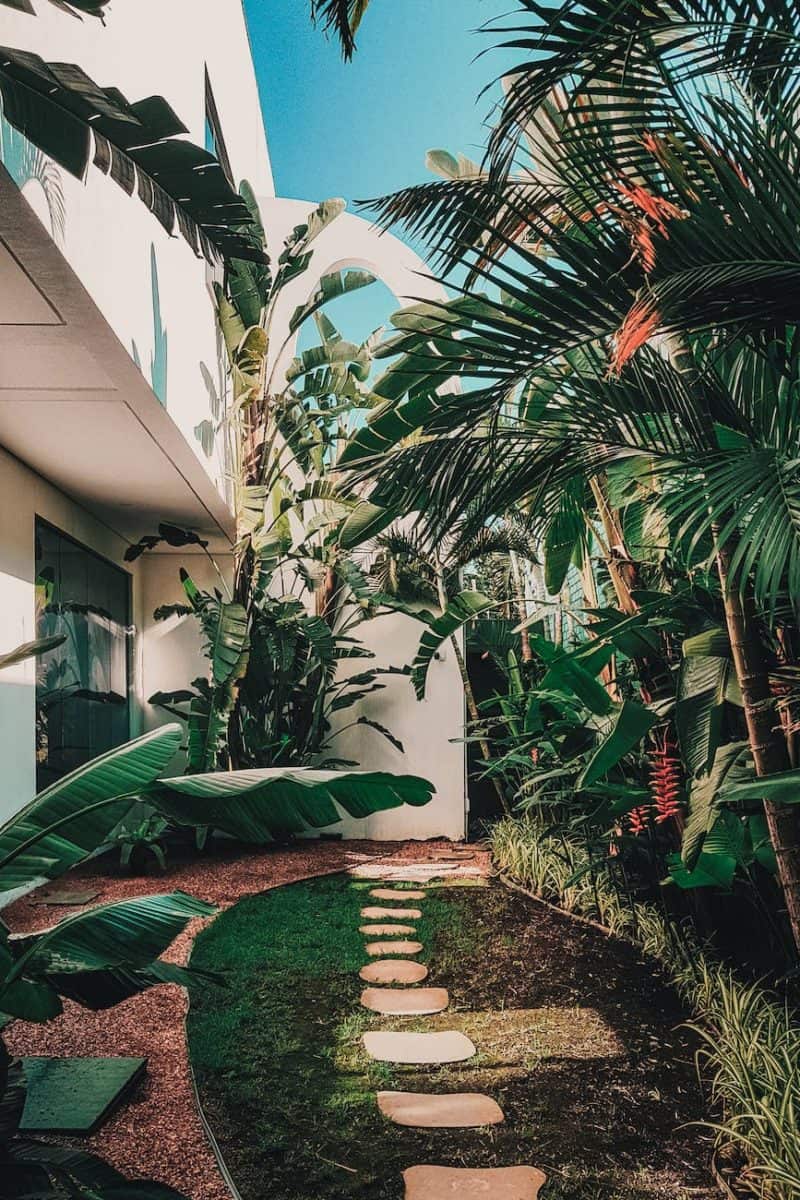 garden walkway view