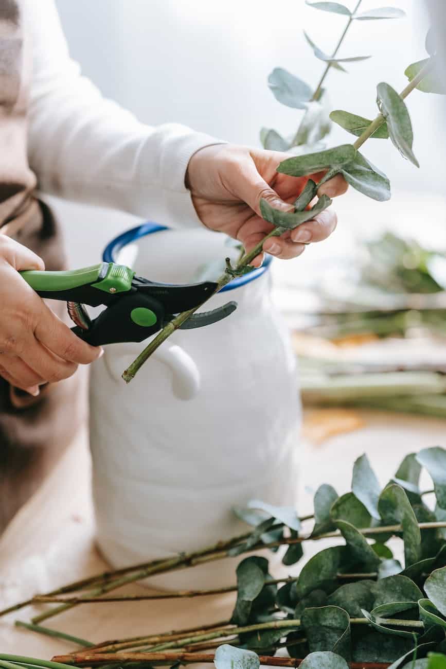 woman cutting stem of branch for bouquet