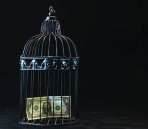 black steel pet cage with one dollar