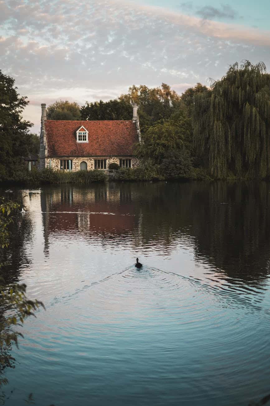 a cottage house by a calm body of water near green leafed trees