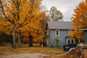 house among yellow trees in daytime