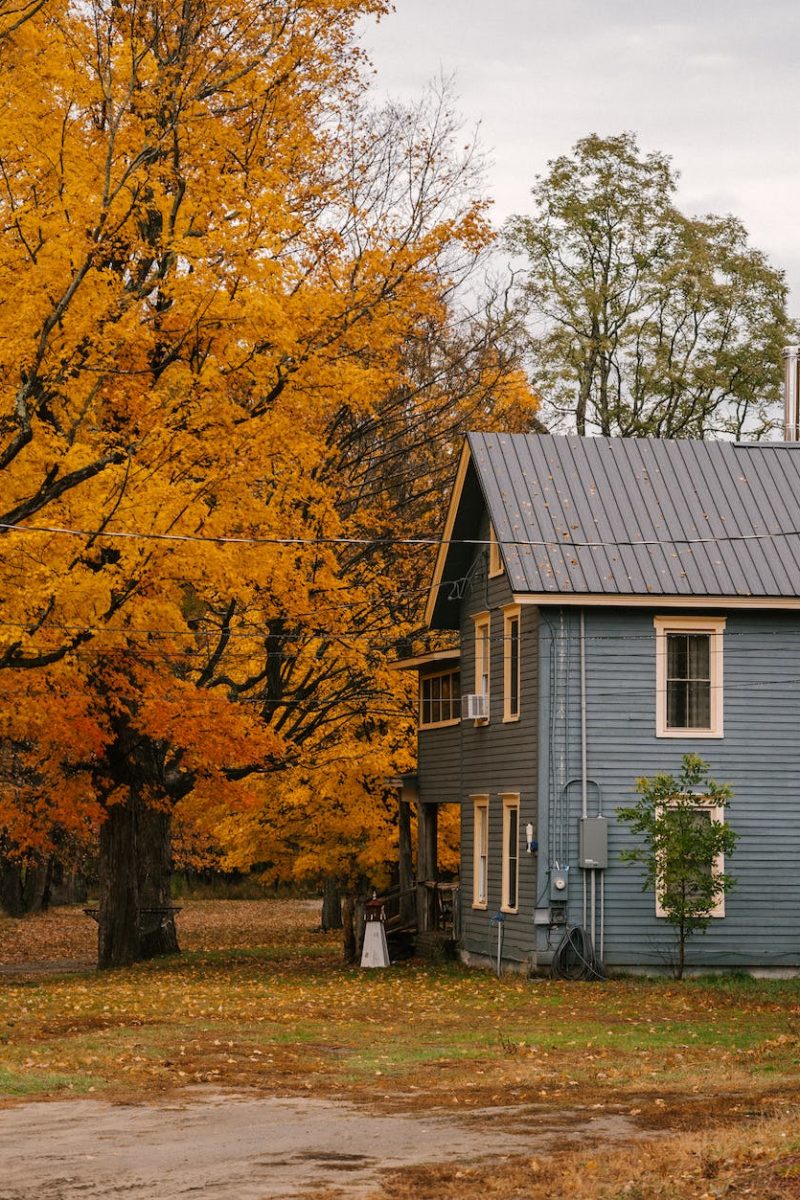 house among yellow trees in daytime