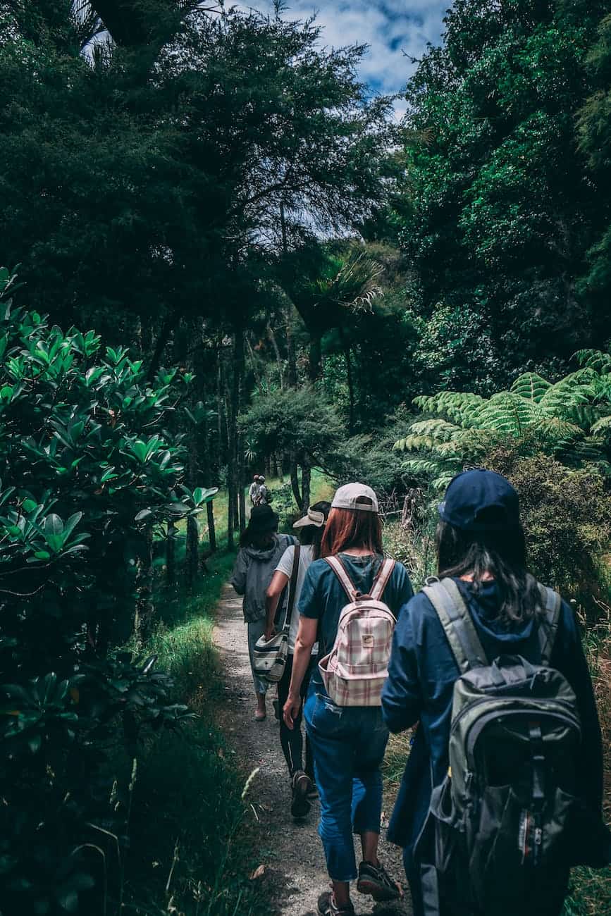 people wearing backpacks walking on pathway near green leaf plants