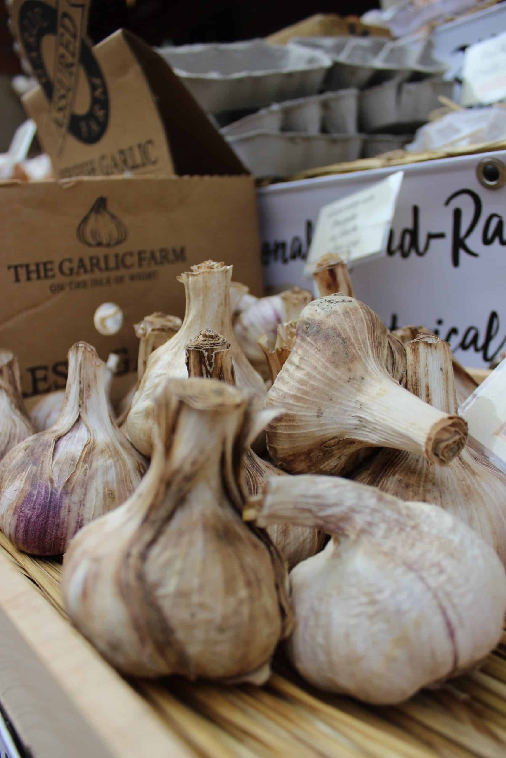 How to Use Garlic for Health + in the Kitchen