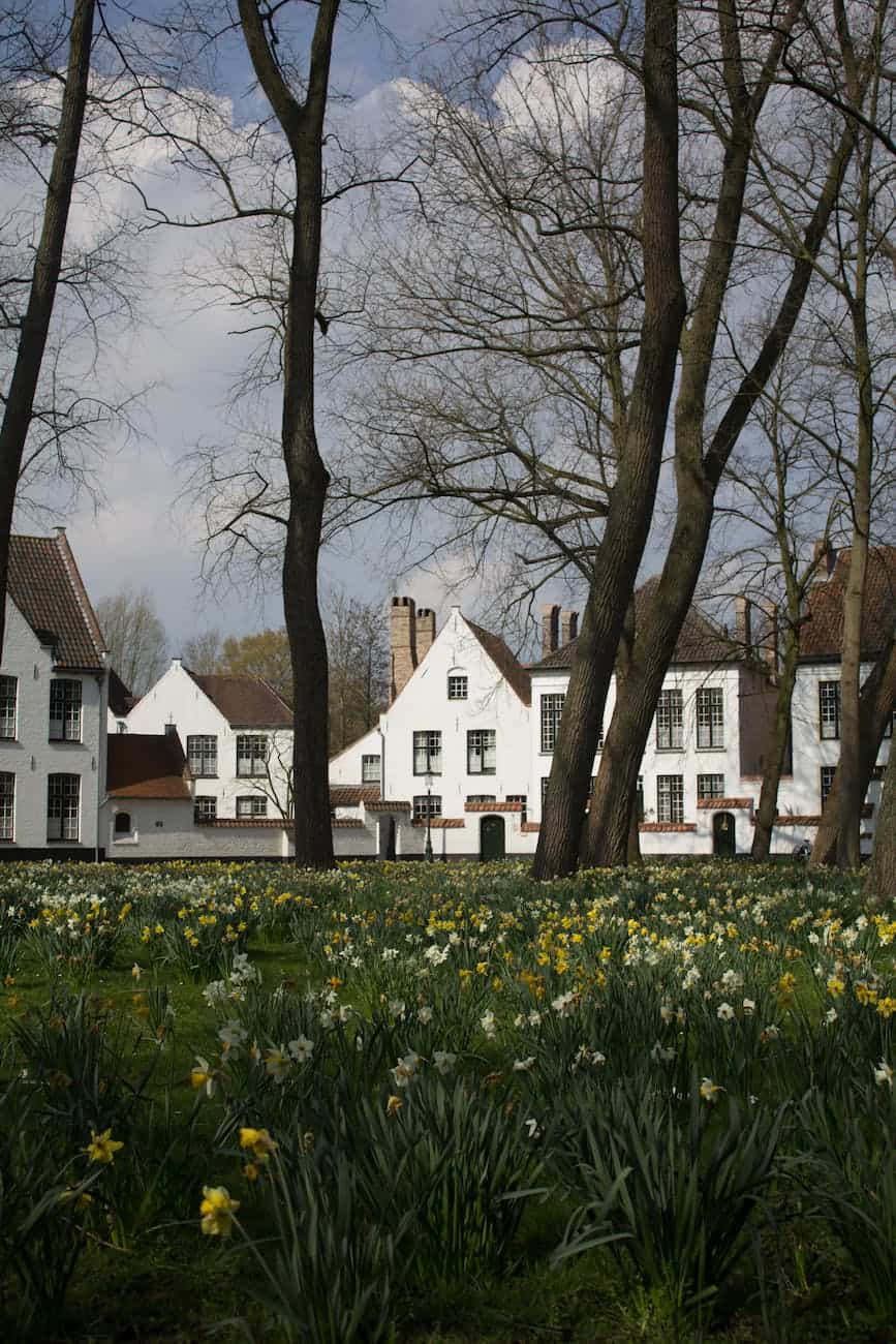 white concrete house near trees