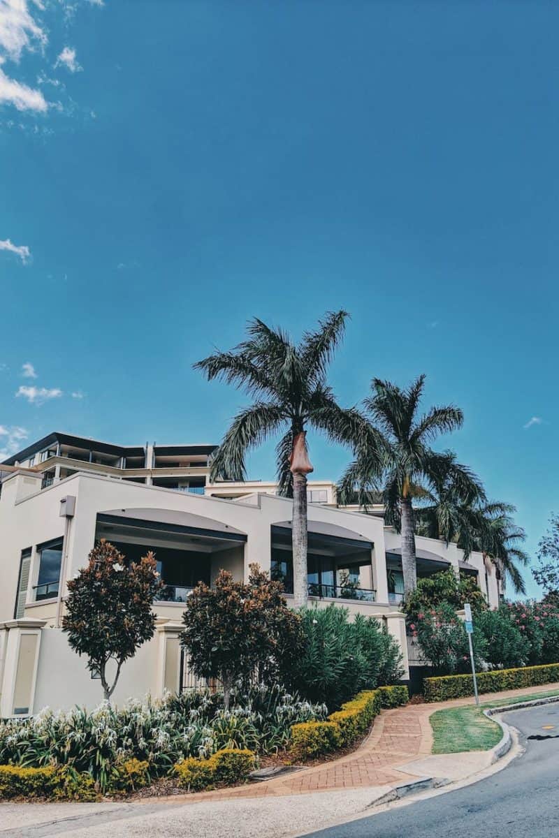 photo of palm trees and flowers near a building