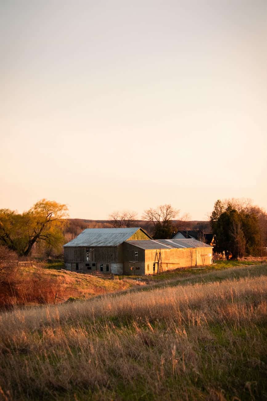 rural scene with farmhouse