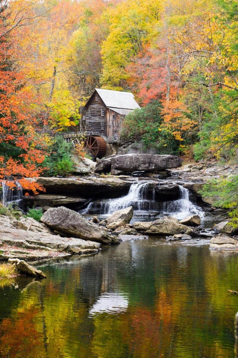 brown wooden house beside river
