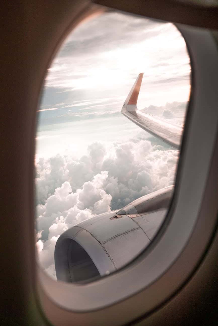 selective focus photo of airplane window; airline alliances