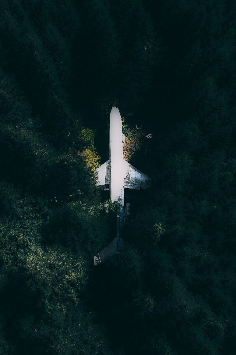 airplane among green trees of forest