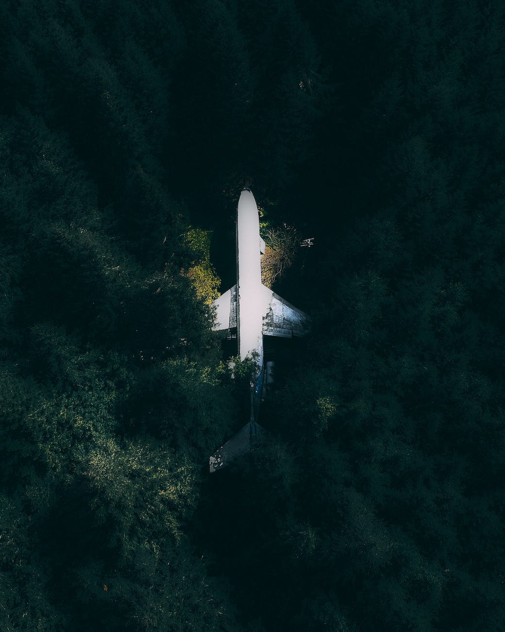 airplane among green trees of forest