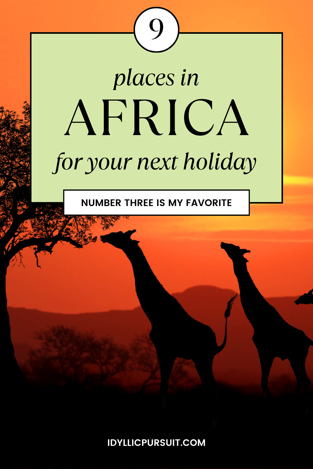 an image of a sunset with giraffes reaching for the tree canopy to eat