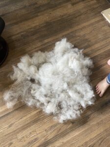 great pyrenees dog fur