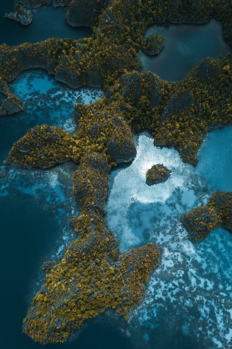 aerial photo of trees on rock formations