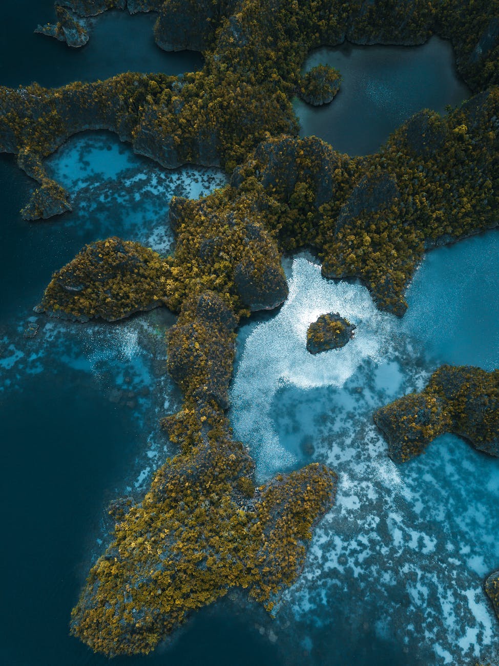 aerial photo of trees on rock formations