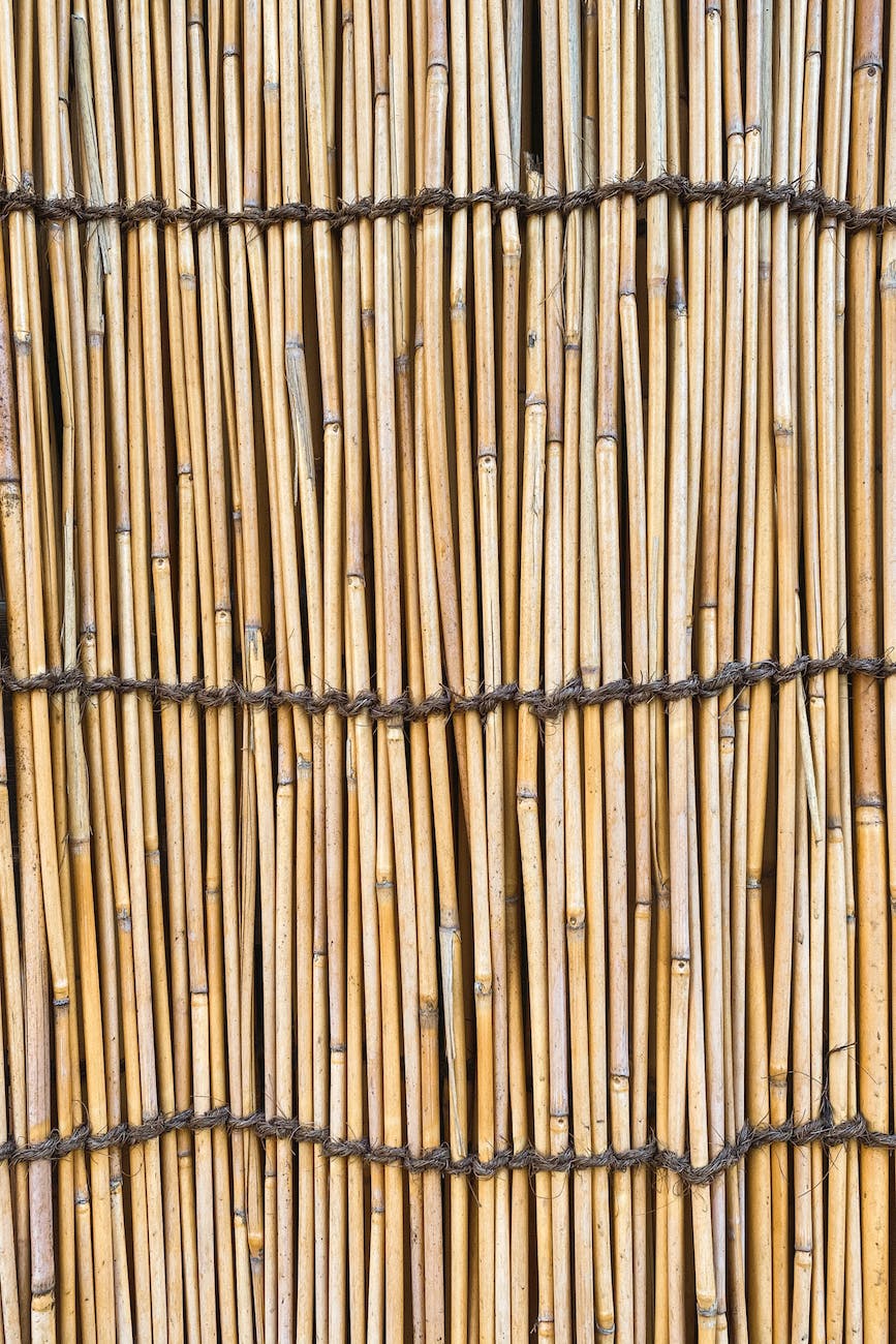 background of thin bamboo stalks