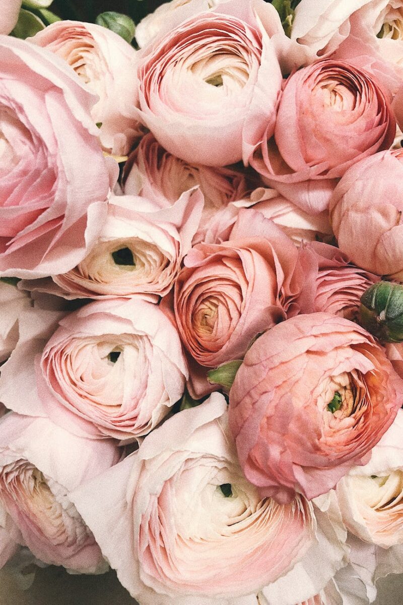 close up photograph of flowers