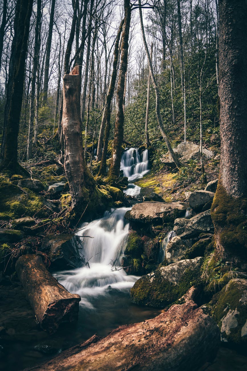 waterfalls in forest