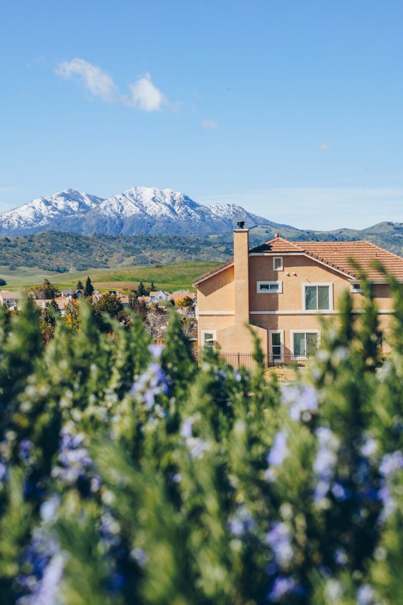 building among lavender field in a valley