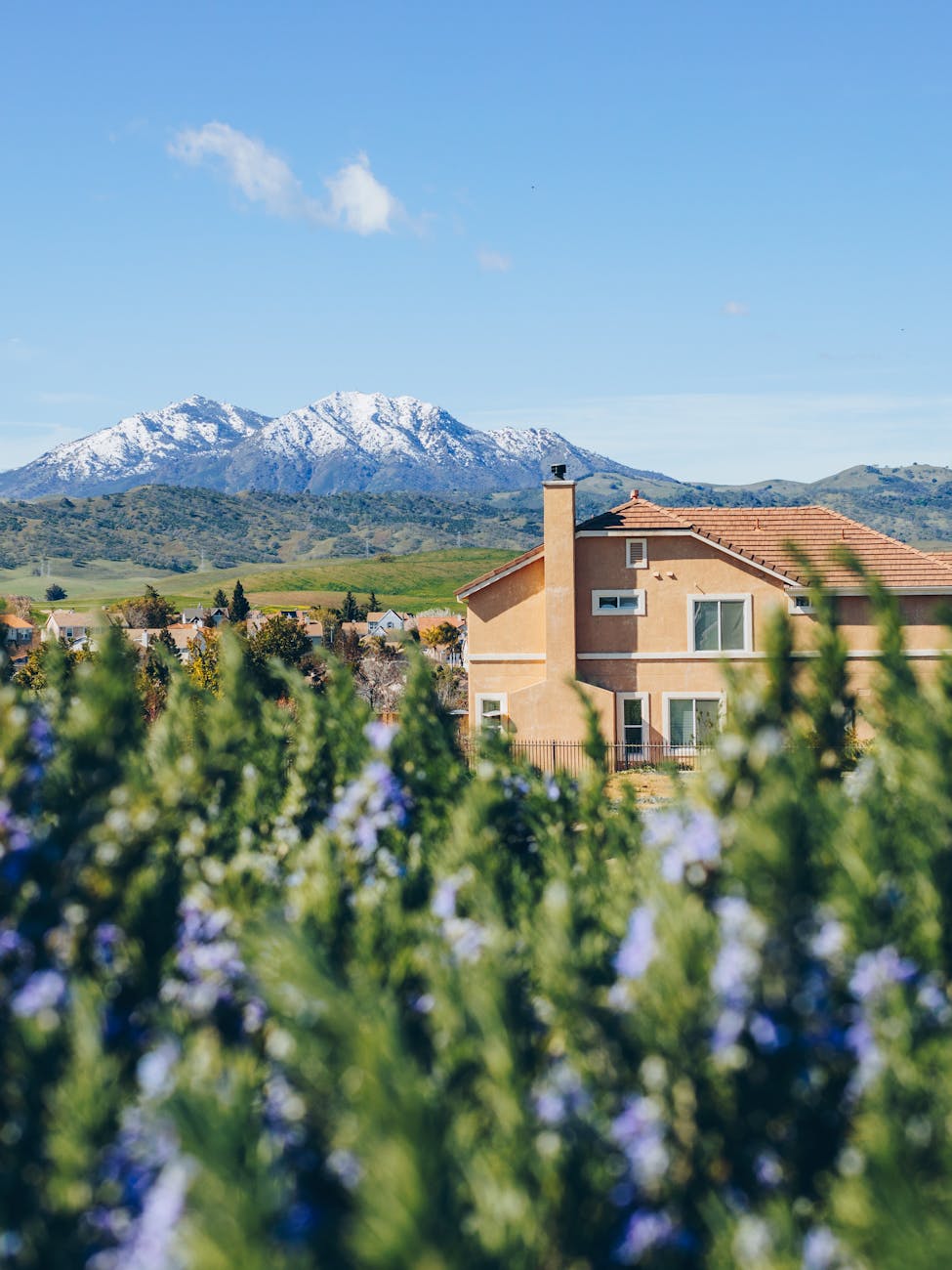 building among lavender field in a valley