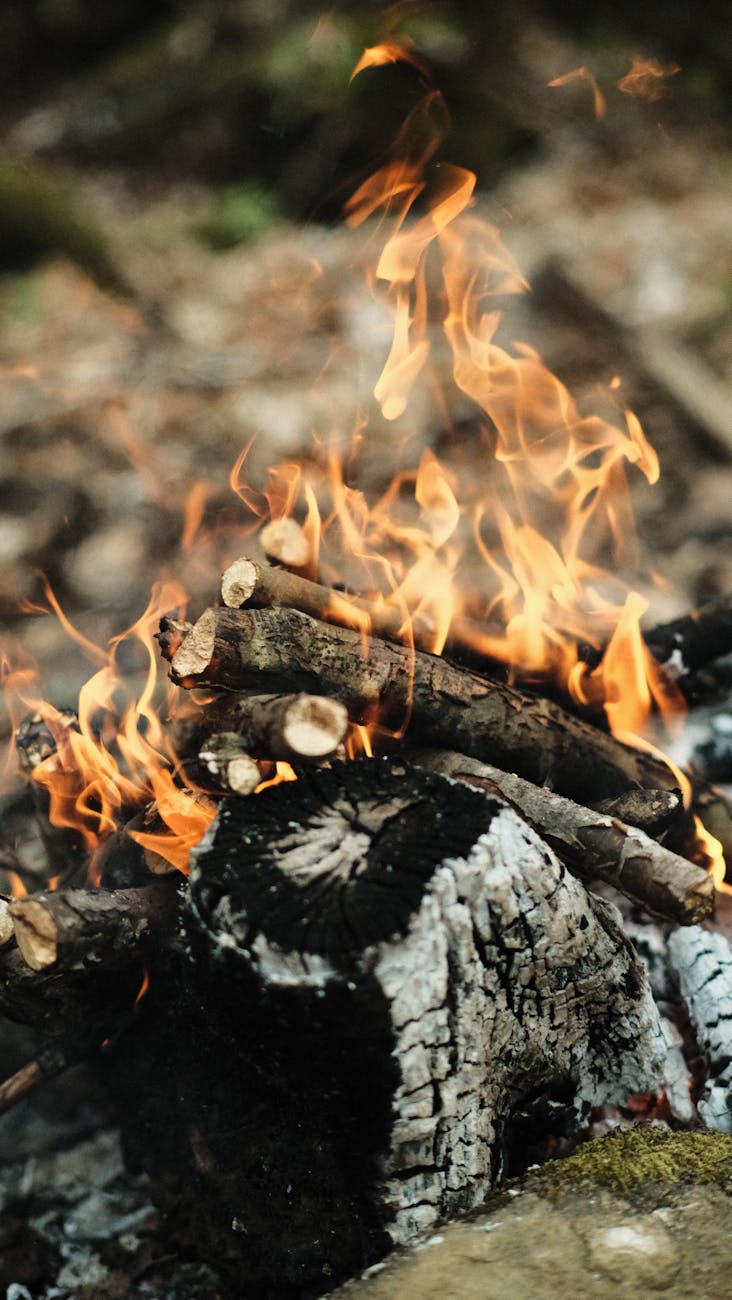 flames in bonfire