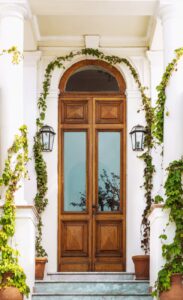 brown wooden door with green plants