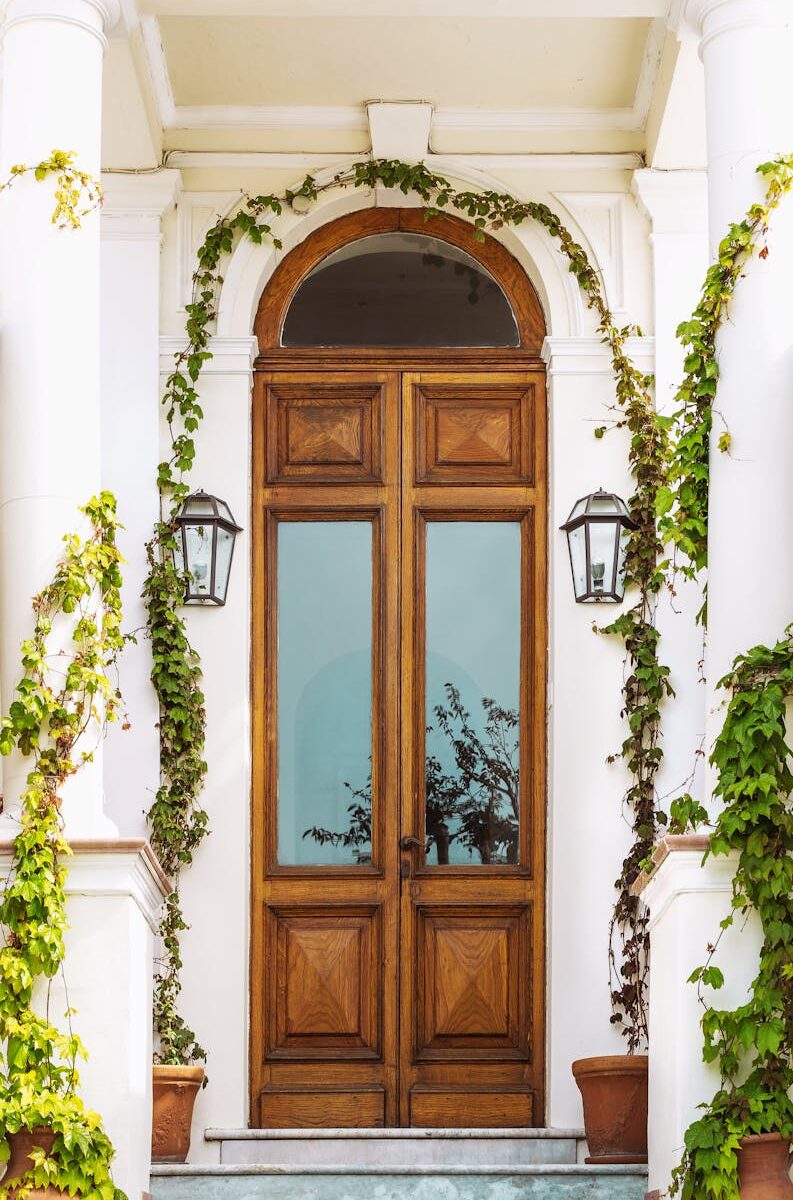 brown wooden door with green plants