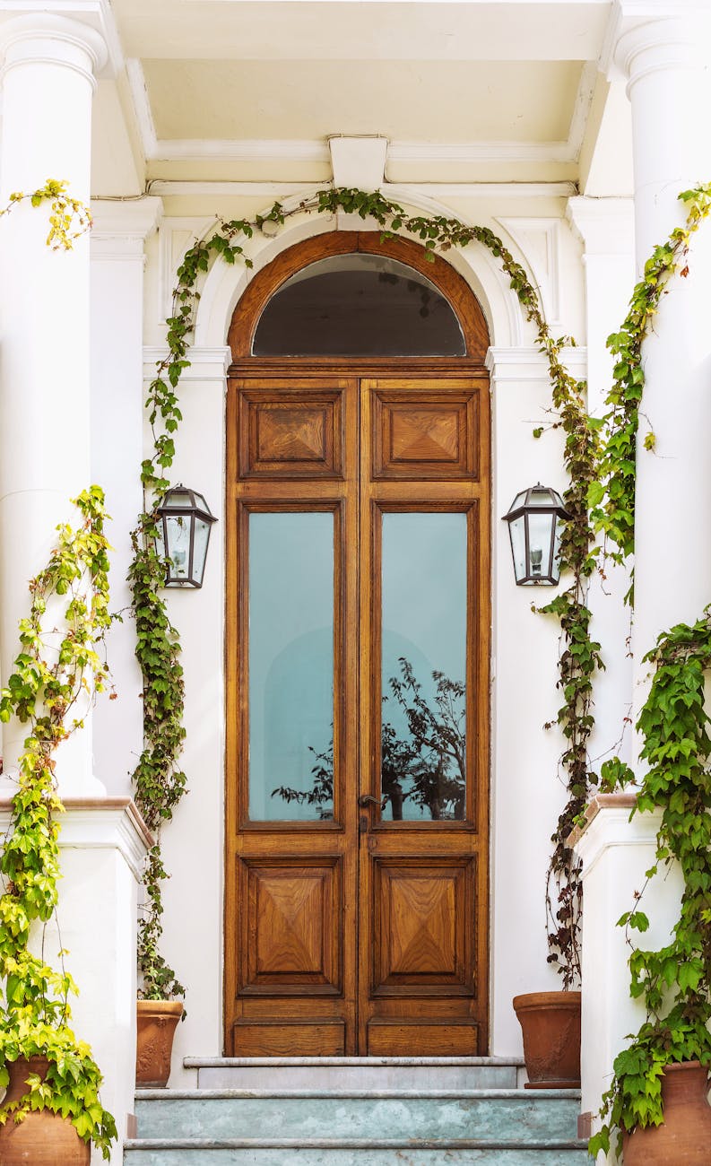 brown wooden door with green plants