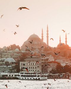 birds flying over water
