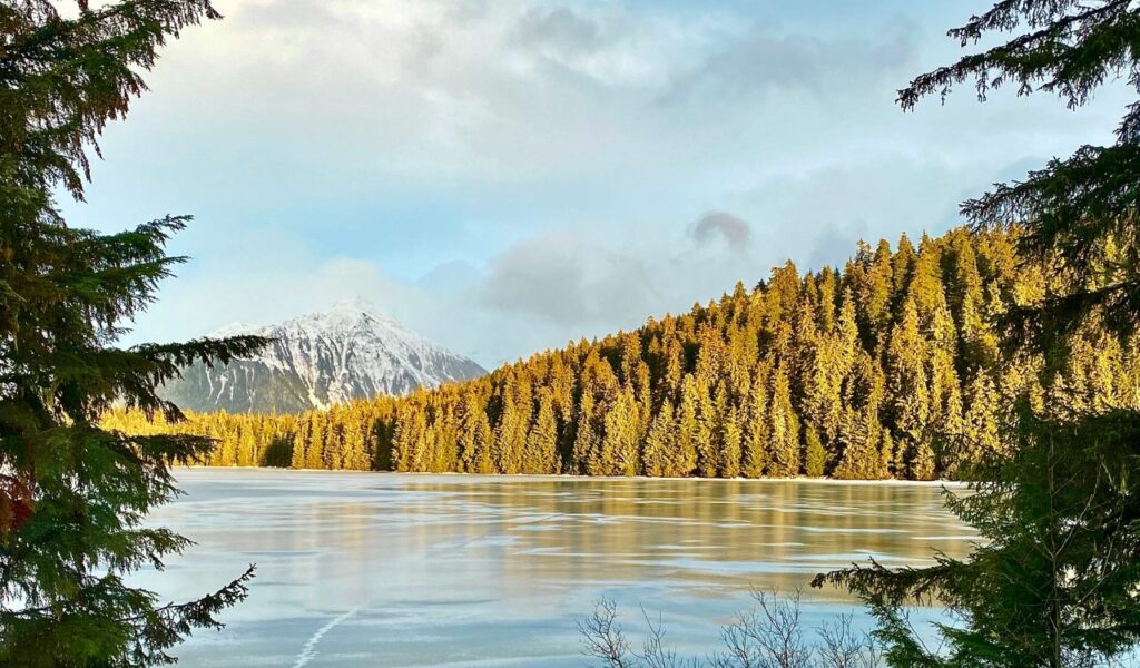 Snowy mountain rises behind a frozen lake and sunlit evergreen forest in Tongass National Forest, Southeast Alaska.
