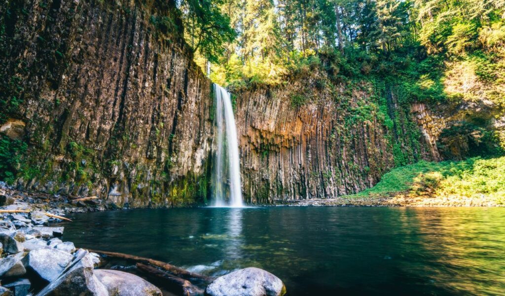 A tall waterfall plunges over columnar basalt cliffs into a clear pool, surrounded by forest in Oregon's wilderness.