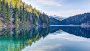 Crystal-clear alpine lake reflecting pine trees and mountains under a blue sky – perfect mirror-like water scenery.