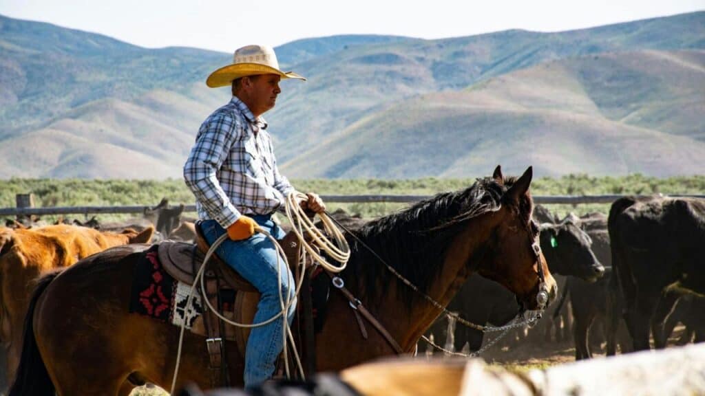 Cowboy on horseback herding cattle in a mountain valley.