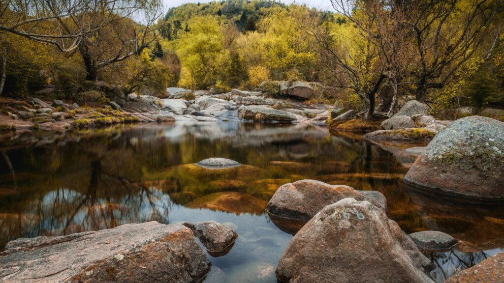 Peaceful forest stream with large rocks and autumn trees in a hidden South American nature spot.