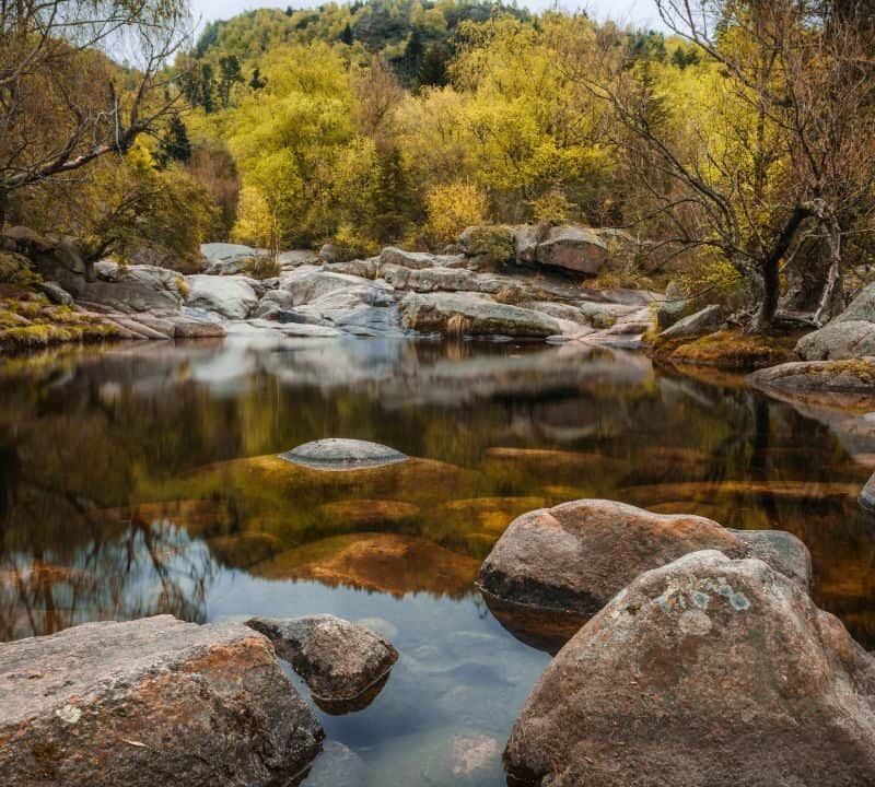 Peaceful forest stream with large rocks and autumn trees in a hidden South American nature spot.