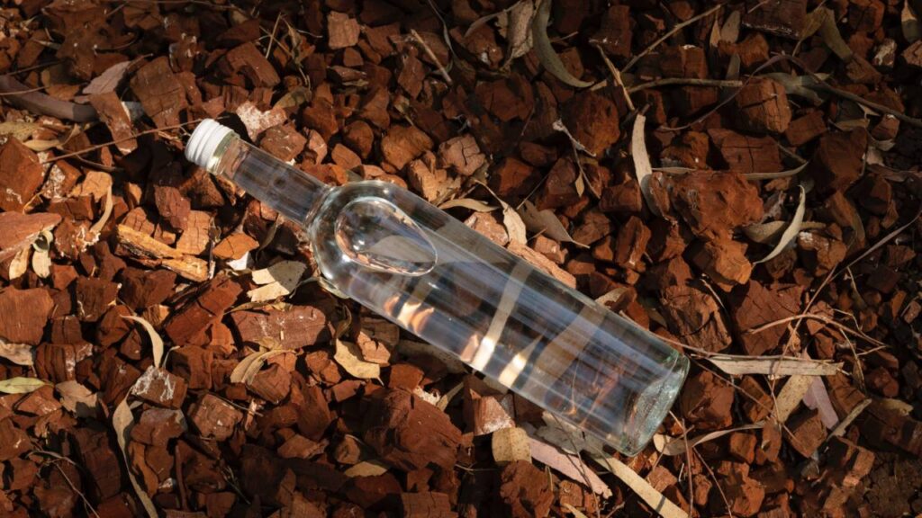 Bottle Hunting