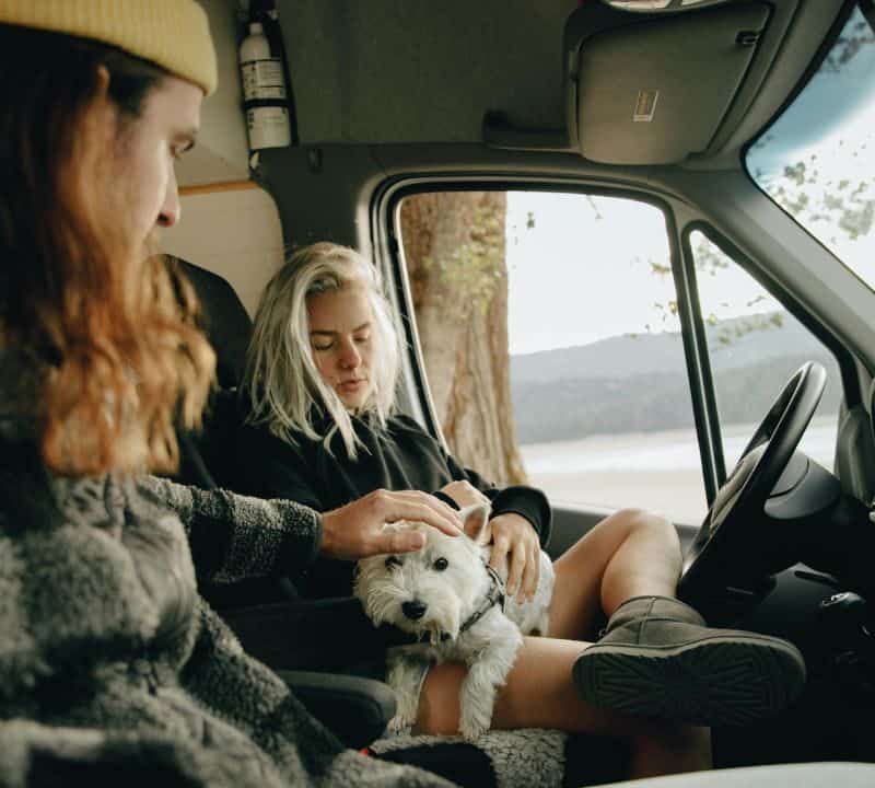 A couple relaxes inside a camper van with their small white dog during a scenic road trip by a lake or forest.