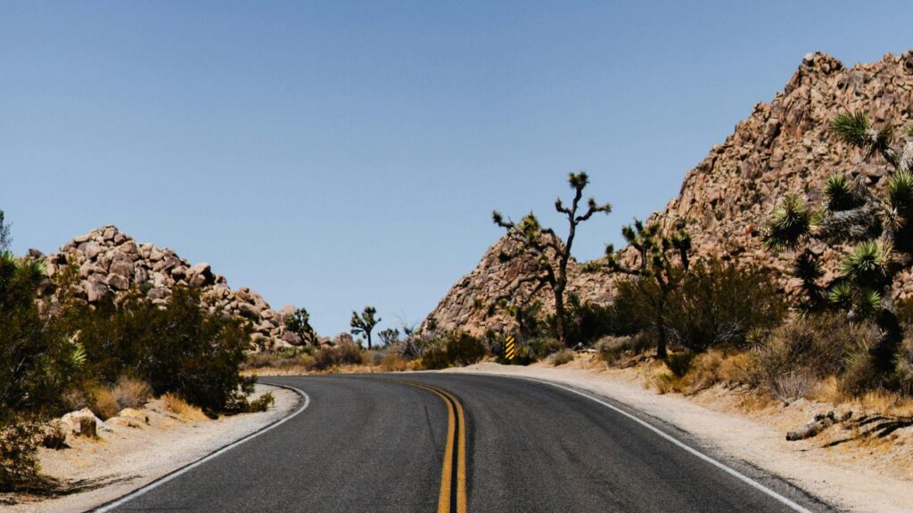 Alt text: Curving desert road lined with Joshua trees and rocky hills under a clear blue sky in Joshua Tree National Park, California.