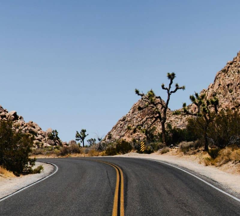 Alt text: Curving desert road lined with Joshua trees and rocky hills under a clear blue sky in Joshua Tree National Park, California.