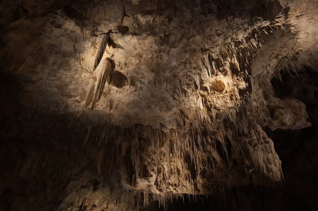 Carlsbad Cavern