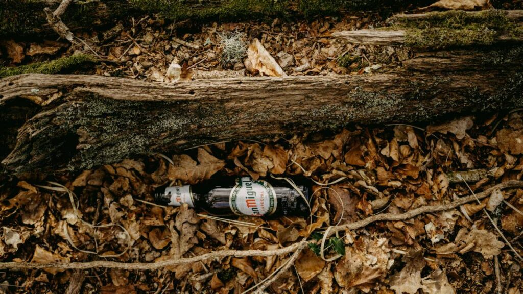 Bottle Hunting