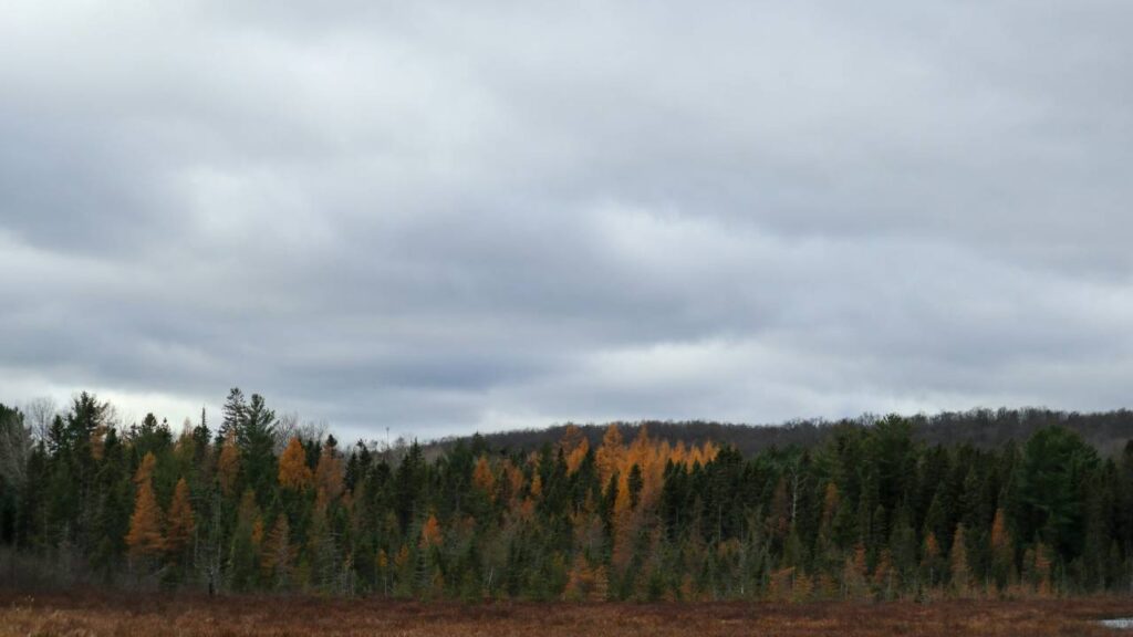 Ontario, Canada