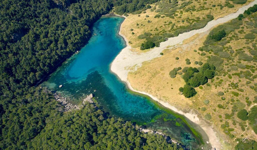 Aerial view of Blue Lake in New Zealand, with crystal-clear water and surrounding forest and grassland.