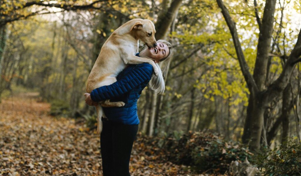 A woman in a blue jacket laughs while holding a large dog in an autumn forest, surrounded by fallen leaves and trees.