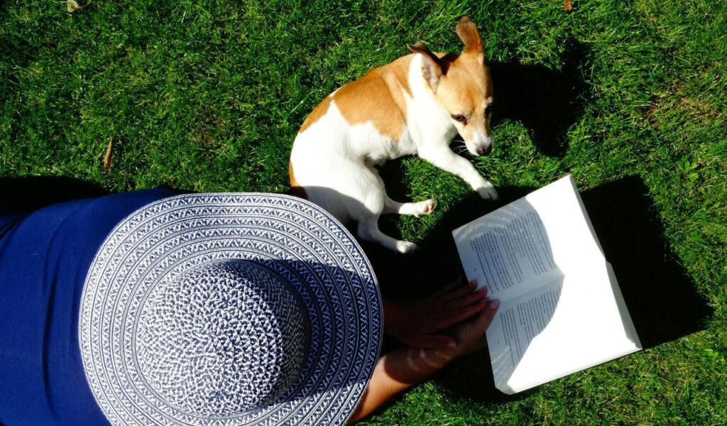Person in a wide-brimmed hat reads a book on grass beside a small dog lying in the sun, both relaxing outdoors.