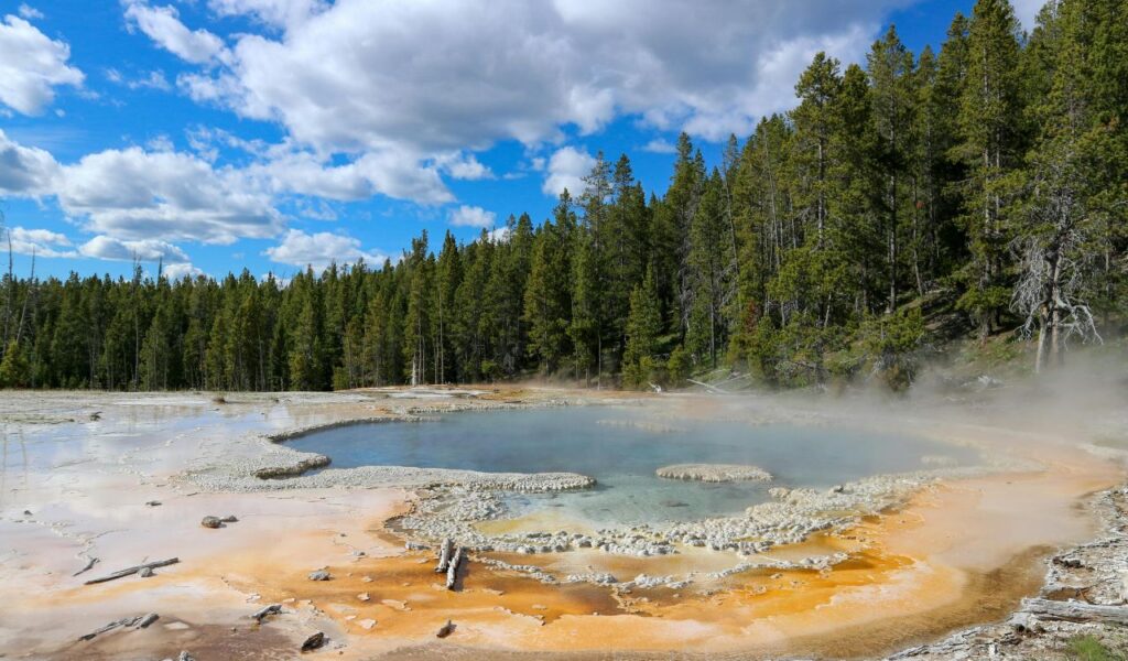 Burgdorf Hot Springs with mineral-rich pool, steam, and forest backdrop.