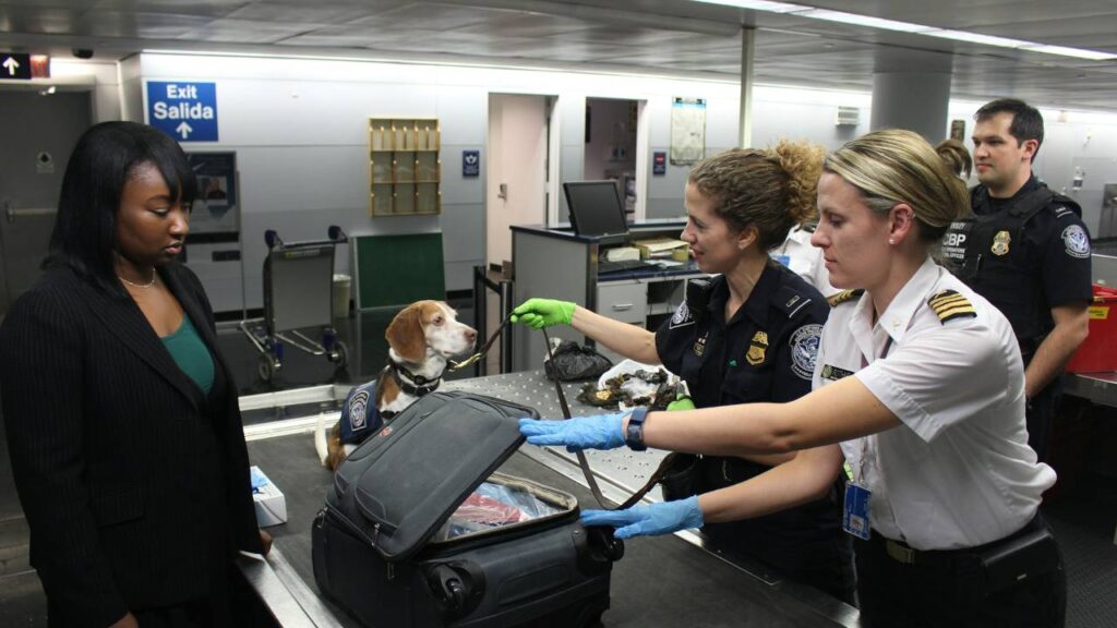 Airport security custom check