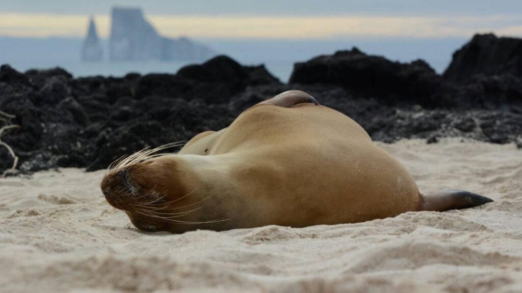 Galapagos Island