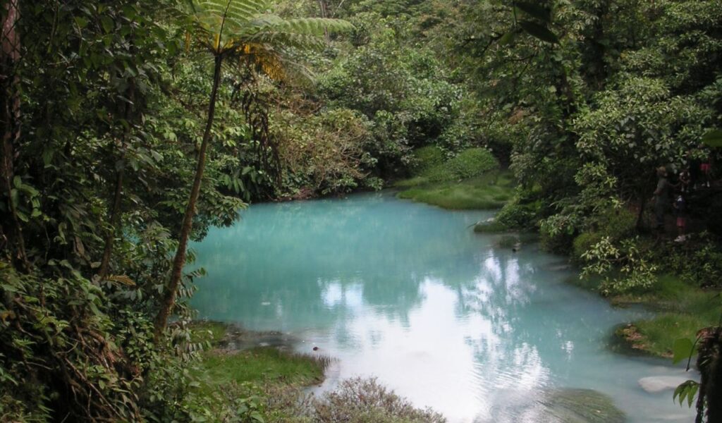 Blue thermal spring in lush rainforest of Costa Rica surrounded by greenery.