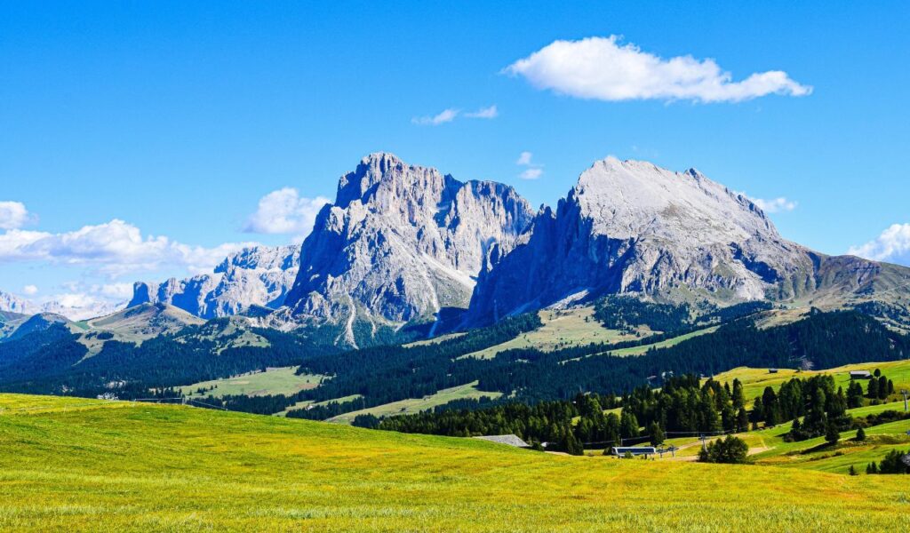 **Alt text:**
Wide view of Alpe di Siusi with bright green meadows in the foreground and dramatic Dolomite peaks under a clear blue sky in the background.